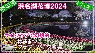 【浜名湖花博2024】ライトアップされ幻想的な花々をご紹介。撮影日時：4月2日　18：00～