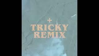 TRAILER  Lee Scratch Perry  & Greentea Peng 100lbs of Summer incl. Tricky Remix