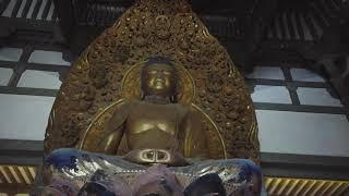 Buddha Temple Byodo In Oahu Hawaii in 4K Ultra HD