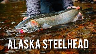 72 Hours Fly Fishing for Steelhead in the Tongass National Forest  Steelhead Chronicles