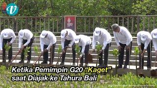 Pemimpin Negara G20 “Kaget” saat Tiba di Hutan Mangrove Bali