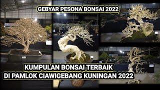 KONTES BONSAI CIAWIGEBANG KUNINGAN 2022