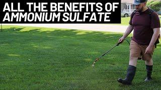 Ammonium Sulfate Fertilizer For Beginners