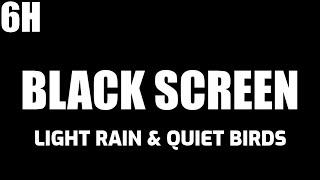 Black Screen Light Rain and Quiet Birds Sounds With Relaxing Music