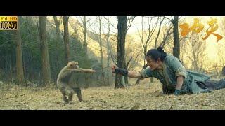 功夫電影，傻小子被猴子咬傷，獲得魔教至尊寶，無人能敵  功夫  Kung Fu  中国电视剧
