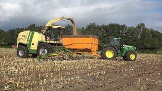 Mais hakselen met Krone BigX 650 en 3 John Deere trekkers - Loonbedrijf Wemekamp 2022