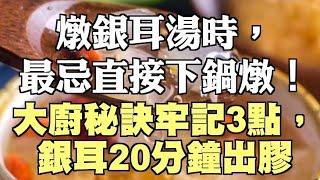 燉銀耳湯時，最忌直接下鍋燉！大廚秘訣牢記3點，銀耳20分鐘出膠