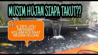 Cara dan Tips Jitu Merawat Kolam Koi di Musim Hujan