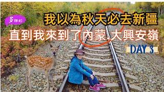 【内蒙古旅遊EP3】人生第一次餵馴鹿估唔到咁好玩走入白樺林.一步一景呼倫貝爾之旅️美食️酒店️遊玩全攻略.莫爾道嘎