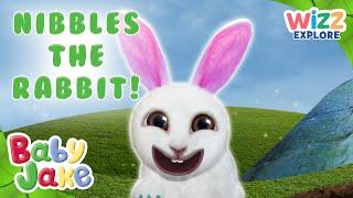@BabyJakeofficial  - Explore with Nibbles the Rabbit   Full Episodes  Compilation  @WizzExplore
