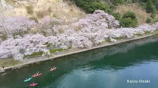 【Spring】Takashima City SHIGA  Spectacular view just 50 minutes by train from Kyoto