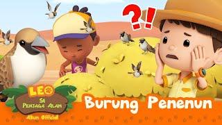 Burung Penenun  Leo Si Penjaga Alam  #minisode