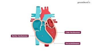Wie funktioniert das Herz?