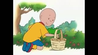 Caillou Ep5 Caillou Goes Strawberry Picking Full Episode