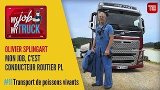 MJMT Transport de poissons vivants