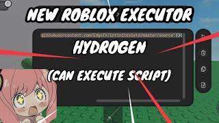 New Roblox Executor  Hydrogen  Can Execute Script