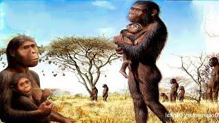 How did humans evolve from apes?  वानरों से मनुष्य का विकास कैसे हुआ? discovery of human evolution