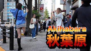 【４Ｋ60】walk in Akihabara【秋葉原をお散歩】2024年4月13日