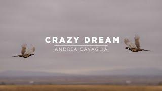 Crazy Dream  Driven Shooting in America