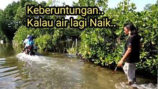 Ediannn Mancing cuma dari pinggirbisa dapat sebanyak ini