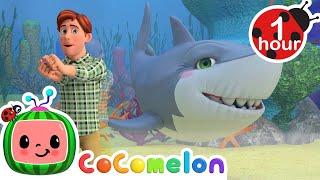 Baby Shark  @CoComelon  Moonbug Kids - Nursery Rhymes for Babies