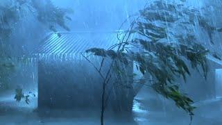 Sleep Instantly with Powerful Hurricane Terrible Rain Strong Wind Heavy Thunder at Stormy Night