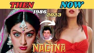 NAGINA 1986  NAGINA FULL MOVIE CAST 1986 TO 2023  RISHI KAPOOR  SRIDEVI  AMRISH PURI  #nagina