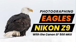 Nikon Z9 - Lets Photograph Alaskas Winter Bald Eagles