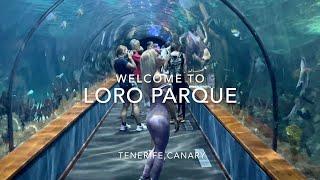 LORO PARQUE TENERIFE CANARY 2023 4K