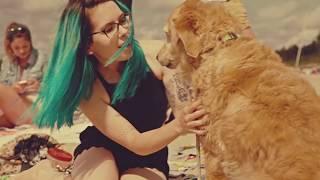 Seaway Lula On The Beach Official Music Video