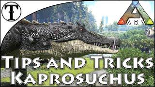 Fast Kaprosuchus Taming Guide  Ark  Survival Evolved Tips and Tricks