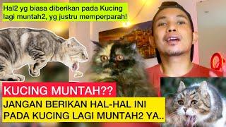 KUCING MUNTAH? JANGAN KASIH HAL BERIKUT PADA KUCING MUNTAH  Pantangan bagi Kucing Muntah #dhyonlee