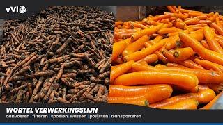 Carrot Processing Line  Washing and Polishing  van Velzen innovation B.V.