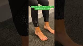 Wall sit + calf raises wearing Flamingo Feet