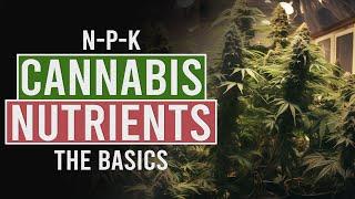 Getting the Perfect Nutrient Balance for your Cannabis Plants