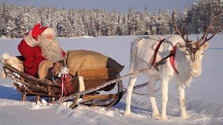 Weihnachtsmann Video für Familien  Aufbruch des Weihnachtsmanns Lappland Santa Claus reindeer ride