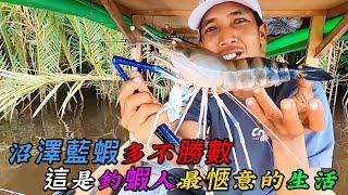 沼澤藍蝦多不勝數，這是釣蝦人最愜意的生活《活在當下》