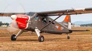 Sealand Aviation RED V-12 Beaver Startup & Low Pass - BCAM Open House 2023