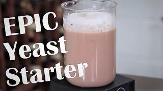 Making a Better Yeast Starter