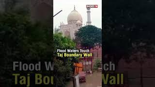 Yamuna Flood Water Reaches Taj Mahal  Floods In UP  Flood Shorts  Agra Floods  #shorts #viral