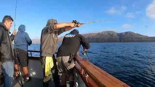 My first fishing trip on ThunderBird and my first YELLOWTAIL.^_^