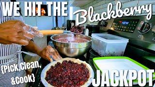 WE HIT THE JACKPOT  BLACKBERRY {PICK CLEAN & COOK}