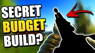 You NEED to Try this SECRET Budget Build in Escape from Tarkov