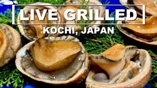 LIVE GRILLED SEAFOOD - Would You Eat This?