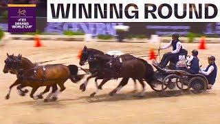 This is the Driving Champion 201920  FEI Driving World Cup™ FINAL Bordeaux  FRA