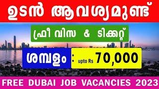 Dubai Jobs for Freshers 2023  Dubai Visit Visa Job Vacancy  Dubai Visa  Gulf Job News #dubaijobs