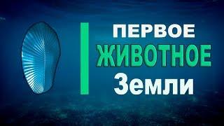 Первое животное Земли