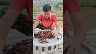 Ăn sâu bọ lười  Anh 1985 vlog - Nhịp Sống Tây Bắc