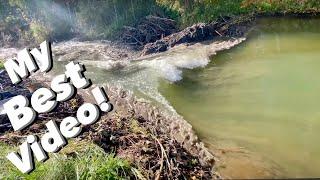 BEST BEAVER DAM REMOVAL EVER