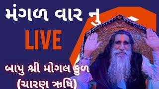 Bapu Shree interview Live Mogaldham Kabrau Katch  Mangal Varnu Live prasaran #mogaldham